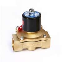 SNS 2W250-25 1 inch normally closed brass solenoid valve with DC12V DC24v AC220V